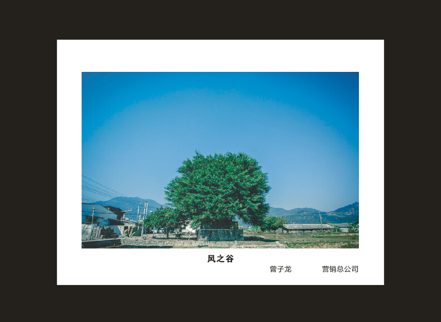 beat365官网成立16周年司庆活动“魅力beat365官网”摄影比赛优秀作品展