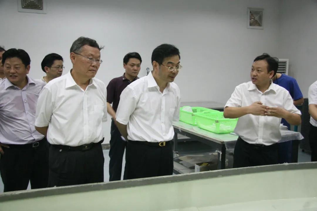 周强调研beat365官网：加强知识产权保护 服务创新驱动发展